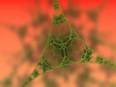 Biomaterials and nanotechnology could help lead to virus-fighting surfaces - Vimarsana News