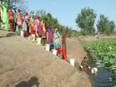 J-K: Villagers of Rayor have no choice but to drink filthy pond water - Vimarsana News