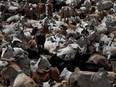 First arrest made under Karnataka Cattle Slaughter Prevention Law, two cases registered - Vimarsana News