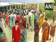 West Bengal Polls Phase VIII: 15.44 pc voter turnout recorded till 9:30 am - Vimarsana News