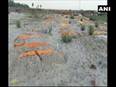 Bodies found buried in sand near Ganga in UP's Unnao - Vimarsana News