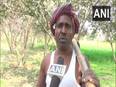 Man grows orchard of 10,000 trees on barren land in Bihar's Gaya - Vimarsana News