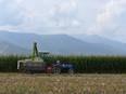Global food prices rise at rapid pace: FAO - Vimarsana News