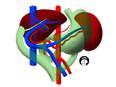 Researchers discover deep learning model to maximise lifespan after liver transplant - Vimarsana News