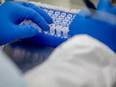 US promotes 'serial testing' for COVID-19 with streamlined approval - Vimarsana News