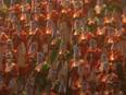 Women recite 'Shiva Tandava Stotra' at Assi Ghat in Varanasi - Vimarsana News