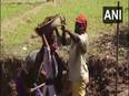 Engineering student in Odisha working as MGNREGS labourer to fund studies - Vimarsana News