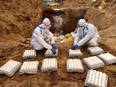 Culling operation of birds completed in Punjab's SAS Nagar - Vimarsana News