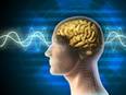 Study uses eel-like protein to control brain - Vimarsana News