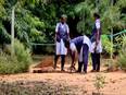 Puducherry: Tagore college sets an example in greening initiatives, transforms 13 acres land inside campus into lush green reserve - Vimarsana News