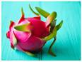 Exotic dragon fruit 'Kamalam' from Maharashtra exported to Dubai - Vimarsana News