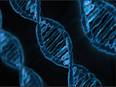 Novel tool to activate deep brain neurons by combining ultrasound, genetics discovered - Vimarsana News