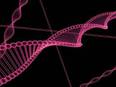 Code for cellular communication now broken by researchers - Vimarsana News
