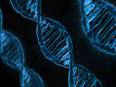More precise diagnoses made possible with whole genome sequencing, finds study - Vimarsana News