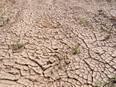 Drought conditions likely to worsen in Pak's Balochistan, Sindh due to less rainfall - Vimarsana News