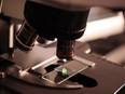 Researchers use imaging agent that enables better monitoring of patients with bacterial infections - Vimarsana News