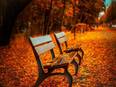 Parks not only safe, but essential during pandemic: Drexel study - Vimarsana News