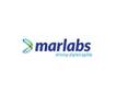 Marlabs is 'Challenger' in ISG's Salesforce Ecosystem Partners report 2021 - Vimarsana News