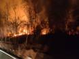 Fire breaks out in forest in Telangana's Nagarkurnool, no casualties reported - Vimarsana News