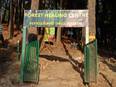 India's first forest healing centre inaugurated in Uttrakand's Ranikhet - Vimarsana News