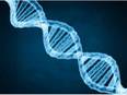 Scientists need to rethink which genes linked to ageing process: Study - Vimarsana News