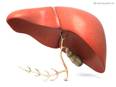Study finds new weapon in fight against liver diseases - Vimarsana News