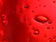 Study: Haemoglobin was invented by a single gene - ANI News