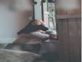 COVID-19 pandemic has had significant impact on mental health of adolescents: Study - Vimarsana News