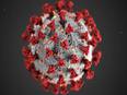 Study finds mass, diversity of SARS-CoV-2 virions person carries during infection - Vimarsana News