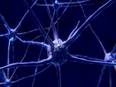 Researchers develop tool to activate deep brain neurons by combining ultrasound, genetics - Vimarsana News