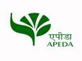 Karnataka exports organic jackfruit products to Germany - Vimarsana News