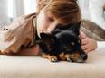 Kids who sleep with their pets still get a good night's rest! - Vimarsana News