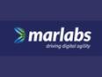 Vikas Kumar appointed Chief Commercial Officer at Marlabs - Vimarsana News