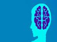 MRI scans more precisely define, detect some abnormalities in unborn babies: Study - Vimarsana News