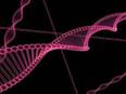 Study suggests scientists may need to rethink which genes control ageing - Vimarsana News
