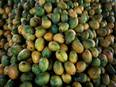 Season's first 'mango parcel' train commences operation from Andhra Pradesh - Vimarsana News