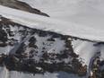 U'khand glacier burst: 384 rescued so far, 6 of them critical - Vimarsana News