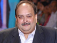 Denying him access to legal protection breach of human rights, says Mehul Choksi's Dominican lawyer - Vimarsana News