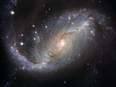 Stars will eventually stop contributing metals: Study - ANI News
