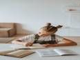 Poor sleep may affect academic achievement for children in disinvested neighbourhoods: Study - Vimarsana News