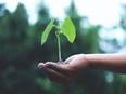 World Environment Day 2021: Action and awareness, two important steps towards sustainability - Vimarsana News