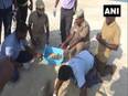 Tamil Nadu: Forest dept collects 484 turtle eggs at Dhanuskodi beach - Vimarsana News