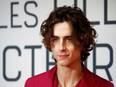 Timothee Chalamet to star as young Willy Wonka in Warner Bros. movie - Vimarsana News