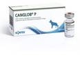Panav Bio-Tech witnesses increased demand for Canglob P Hyperimmune Immunoglobulins after parvovirus outbreak in West Bengal - Vimarsana News