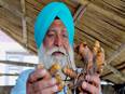Punjab: Retired government officer promotes organic farming, direct marketing - Vimarsana News