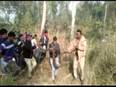 Forest dept rescues Python in UP's Aligarh - Vimarsana News