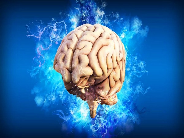 Grey matter includes regions of the brain involved in motor control as well as sensory perception, such as seeing and hearing. Cortical thickness reflects the outer grey matter depth. Grey matter includes regions of the brain involved in motor control as well as sensory perception, such as seeing and hearing. Cortical thickness reflects the outer grey matter depth.
