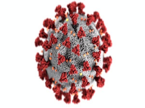 Nanoparticle treatment may benefit individuals hospitalized with severe COVID-19 infections Nanoparticle treatment may benefit individuals hospitalized with severe COVID-19 infections