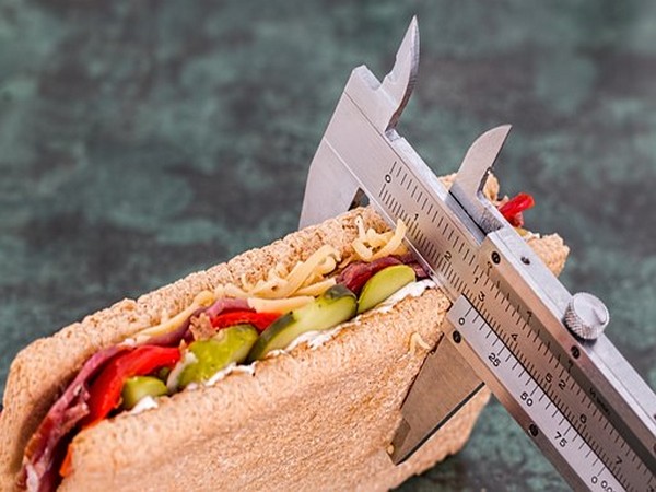 Interventions should not solely invest in reducing dishware size in the expectation that this will lead to reduced intake of snack foods.