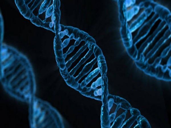 The gene mutation has been linked to several types of blood cancers The gene mutation has been linked to several types of blood cancers